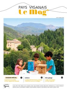 thumbnail of Mag-Pays-viganais-n°6-web